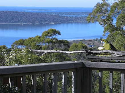 Bed in the Treetops - Accommodation Bookings