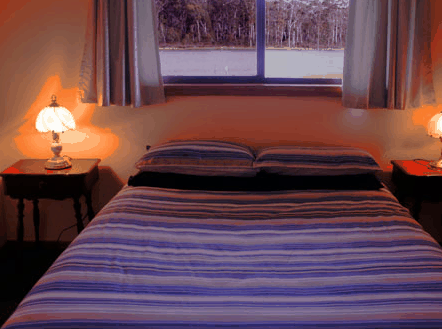 Lake Yalleena Cabins - Accommodation Bookings