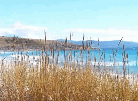 Four Mile Beach TAS Accommodation Bookings