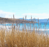 White Sands Estate - Accommodation Bookings
