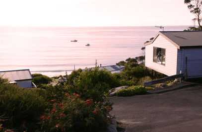 bay of Fires Character Cottage - Accommodation Bookings