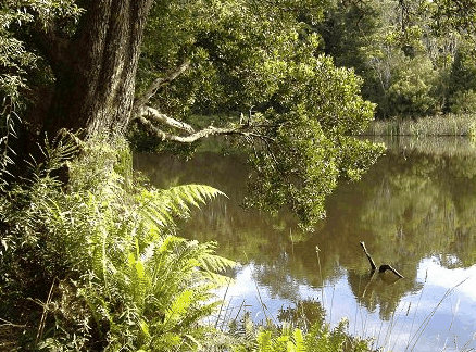  Accommodation Bookings