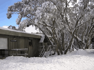 Gaffneys Creek VIC Accommodation Bookings