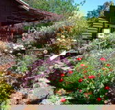Chestnut Brook Cottage - Accommodation Bookings