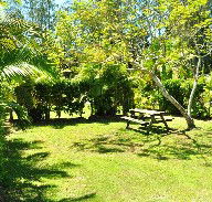 Wooli Caravan Park - Accommodation Bookings
