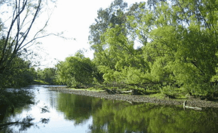 Ribbonwood Cottages - Accommodation Bookings