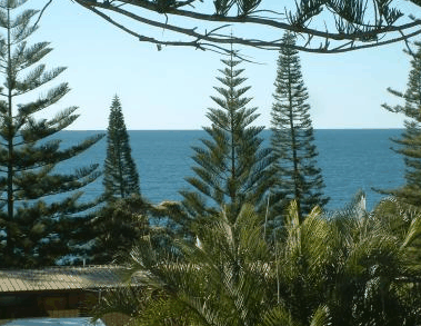 Next Seabreeze Beach Hotel - Accommodation Bookings 2