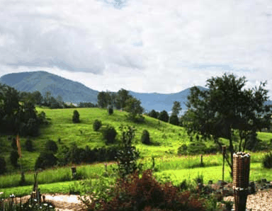 Nimbin Rox YHA - Accommodation Bookings 1
