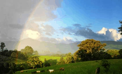 Nimbin Rox YHA - Accommodation Bookings 3
