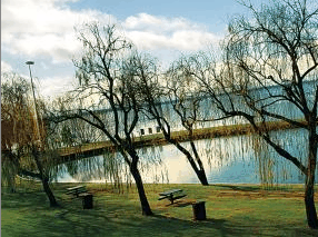 Lake Mulwala Holiday Park - Accommodation Bookings 2