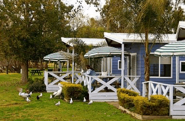 Lake Mulwala Holiday Park - Accommodation Bookings 3
