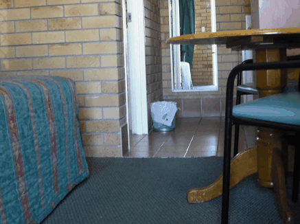 Dragon  Phoenix Motel - Accommodation Bookings