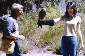 Eagles Heritage Raptor Wildlife Centre - thumb 2