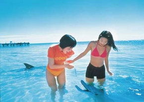  Accommodation Bookings