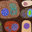 Turner Galleries - Accommodation Bookings