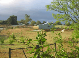 The House Of Honey - Accommodation Bookings 2