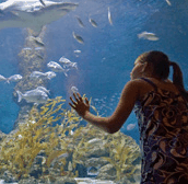 The Aquarium of Western Australia - Accommodation Bookings