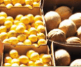 Brisbane Markets - Accommodation Bookings
