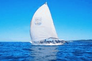  Accommodation Bookings