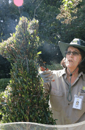 Roma Street Parkland - Accommodation Bookings 1