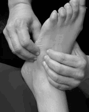 Body & Beauty Retreat - Accommodation Bookings 0