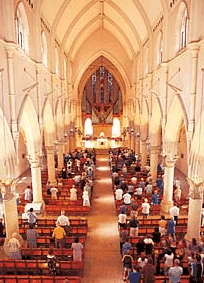 The Cathedral Of Saint Stephen - Accommodation Bookings 2