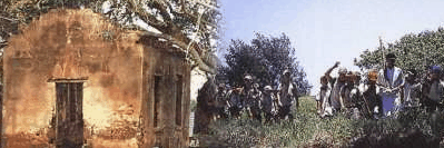 St Helena Island - Accommodation Bookings 1