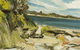 Jan Murphy Gallery - thumb 1