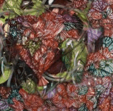 Jan Murphy Gallery - Accommodation Bookings 3