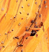 Rocksports Indoor Climbing - Accommodation Bookings 0