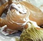 Exotique Massage - Accommodation Bookings
