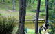Gain Life Healing Health Retreat - thumb 2