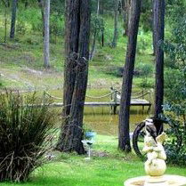 Gain Life Healing Health Retreat - Accommodation Bookings 2