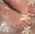 Orchid Day Spa - Accommodation Bookings