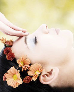 Retreat In The Suburbs - Accommodation Bookings 2