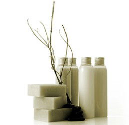 Brighton East VIC Accommodation Bookings