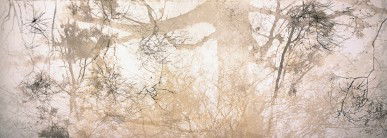 Dianne Tanzer Gallery & Projects - Accommodation Bookings 3