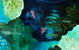 Catherine Asquith Gallery - thumb 3