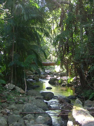 Thunderbird Park - Accommodation Bookings 2
