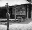The Baldessin Press - Accommodation Bookings