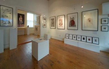 Bird's Gallery - Accommodation Bookings 0
