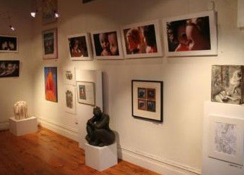 Bird's Gallery - Accommodation Bookings 2