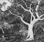 Tacit Contemporary Art - Accommodation Bookings