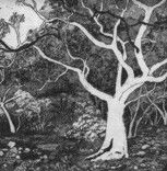 Tacit Contemporary Art - Accommodation Bookings 0