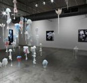 Nellie Castan Gallery - Accommodation Bookings