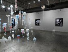Nellie Castan Gallery - Accommodation Bookings 0