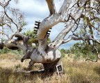 Colour Factory Gallery - Accommodation Bookings 3