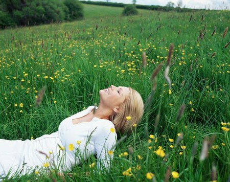 ANEW YOU Mind - Body Solutions - Accommodation Bookings 0