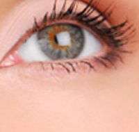 Cinnamon Stix Hair  Day Spa - Accommodation Bookings