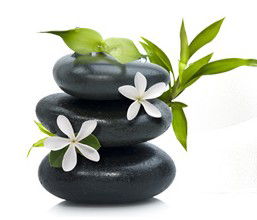Tea House Spa Sauna - Accommodation Bookings 0